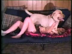 Mexzoo horny pet and his owner having sex on the couch